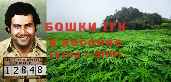 хмурый Ладушкин