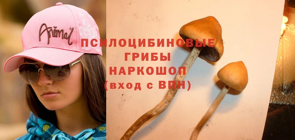 2c-b Алексин