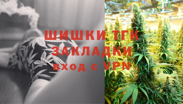 дмт Алзамай