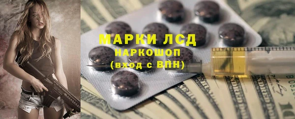 гидра Алексеевка