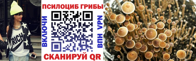 omg ссылки  Новошахтинск  Галлюциногенные грибы мицелий 
